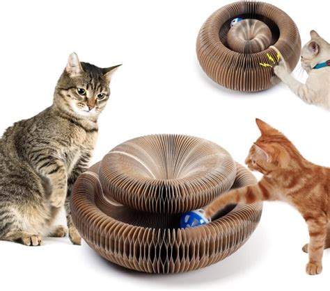 Keeping Indoor Cats Happy with Magic Organ Toys
